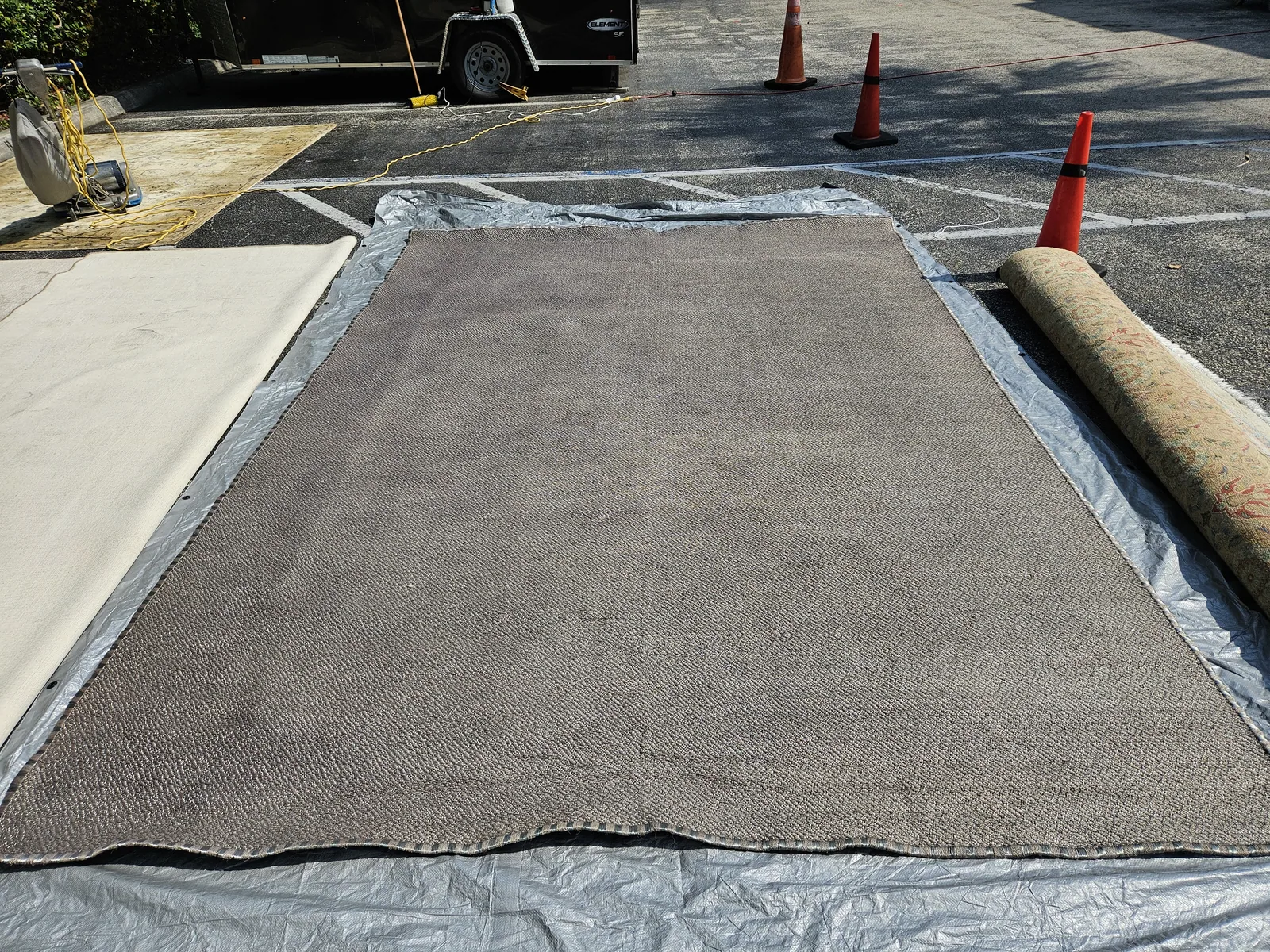 A rug laid out at the plant, photographed at our plant for Aventura